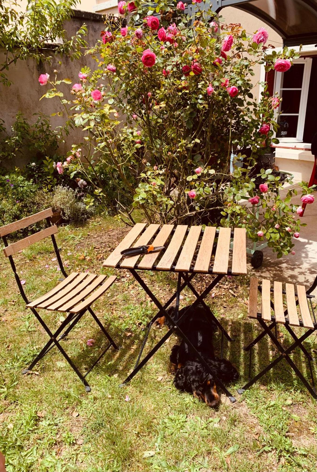 Villa Ibis Rouge Villars-les-Dombes Esterno foto
