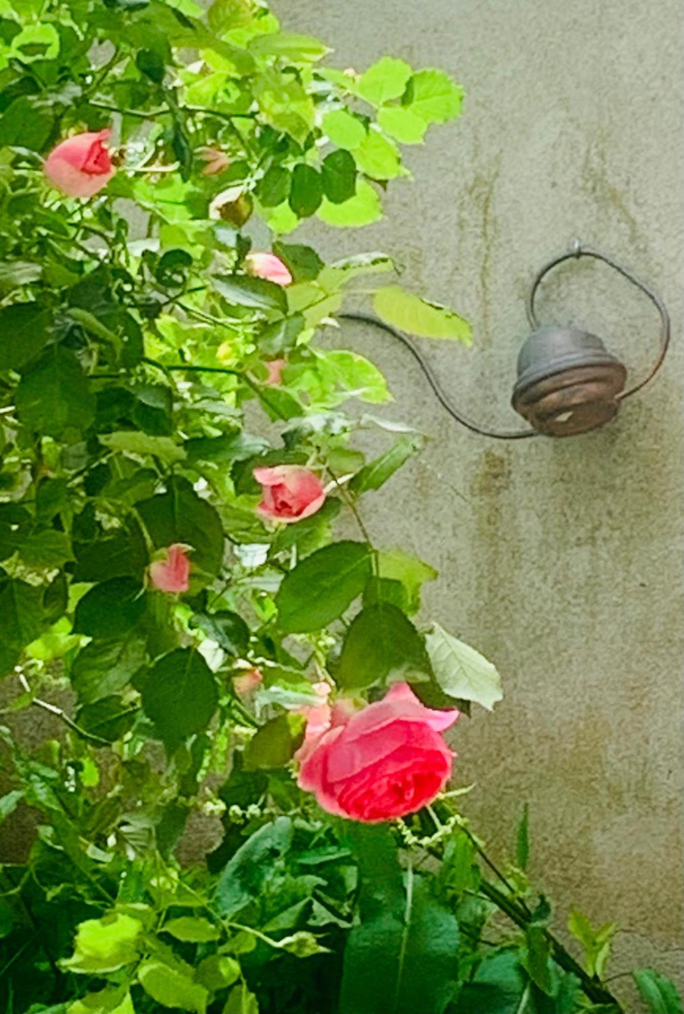 Villa Ibis Rouge Villars-les-Dombes Esterno foto