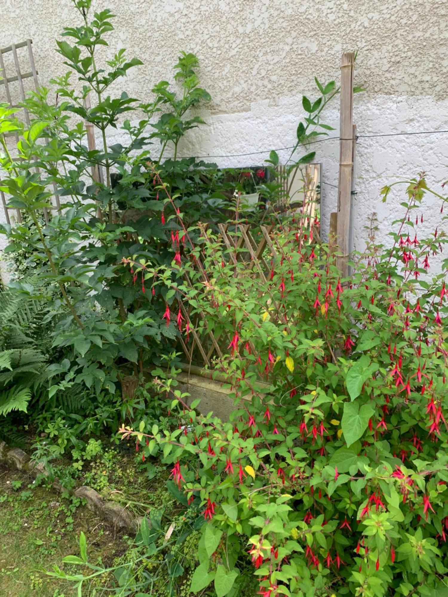 Villa Ibis Rouge Villars-les-Dombes Esterno foto